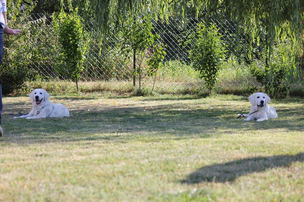 IMG_0894.JPG